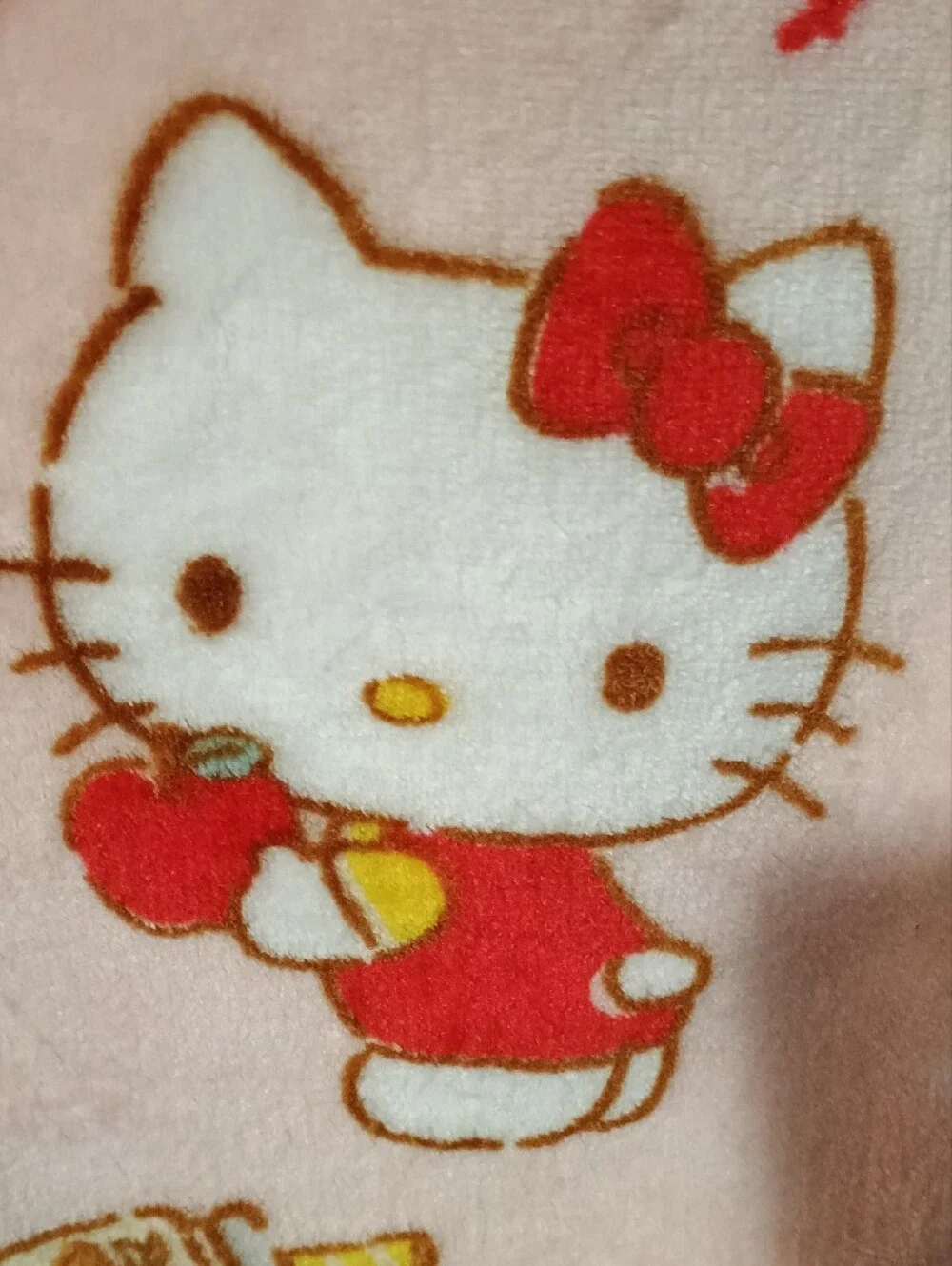 NWTS Hello Kitty More Apples Please Cloud Throw Blanket Pink 60x70 Viral